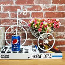 Load image into Gallery viewer, Wall Bicycle Flower Basket