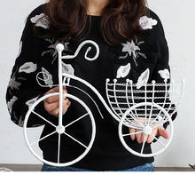 Load image into Gallery viewer, Wall Bicycle Flower Basket